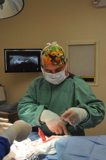 Dr. In Surgery Dr. In Surgery