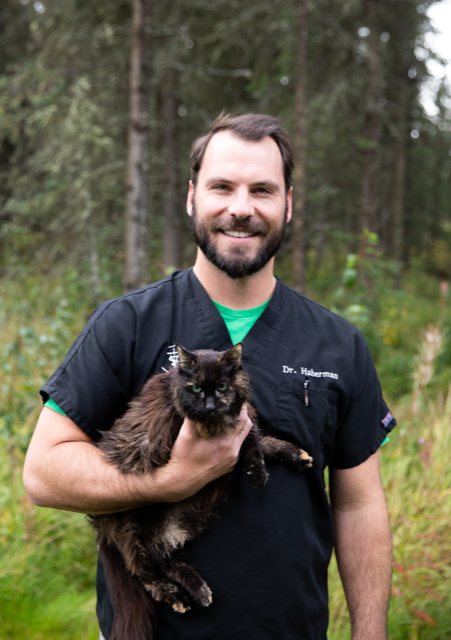 Dr. Mike Haberman Dr. Mike Haberman
