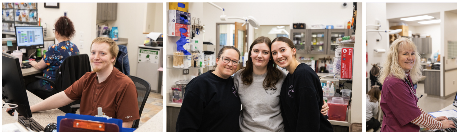 Front desk staff member, Three staff members smiling, One staff member in treatment area smiling Front desk staff member, Three staff members smiling, One staff member in treatment area smiling