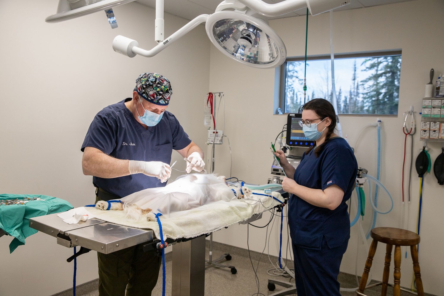 Doctors Performing Surgery