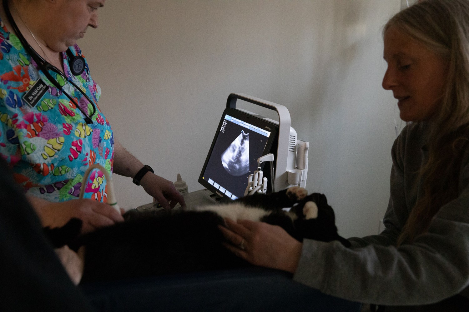 Staff Performing Ultrasound